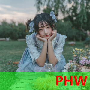 黄金VIP用户